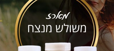 טקסט הפסקה שלך טקסט הפסקה שלך